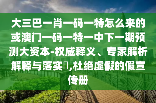 大三巴一肖一碼一特怎么來的或澳門一碼一特一中下一期預(yù)測大資本-權(quán)威釋義、專家解析解釋與落實?,杜絕虛假的假宣傳冊