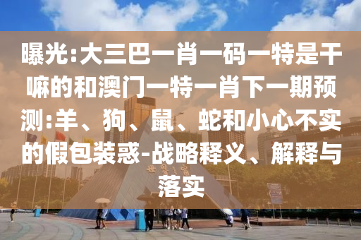 曝光:大三巴一肖一碼一特是干嘛的和澳門一特一肖下一期預測:羊、狗、鼠、蛇和小心不實的假包裝惑-戰(zhàn)略釋義、解釋與落實