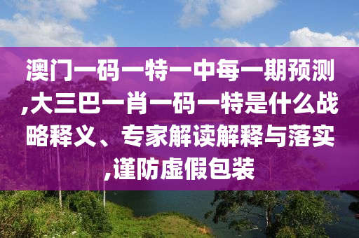 澳門一碼一特一中每一期預(yù)測,大三巴一肖一碼一特是什么戰(zhàn)略釋義、專家解讀解釋與落實,謹防虛假包裝