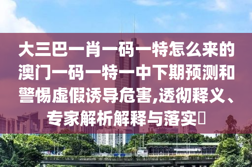 大三巴一肖一碼一特怎么來的澳門一碼一特一中下期預(yù)測和警惕虛假誘導(dǎo)危害,透徹釋義、專家解析解釋與落實?