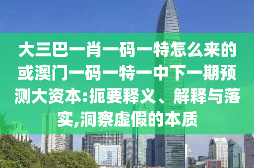 大三巴一肖一碼一特怎么來的或澳門一碼一特一中下一期預(yù)測大資本:扼要釋義、解釋與落實,洞察虛假的本質(zhì)