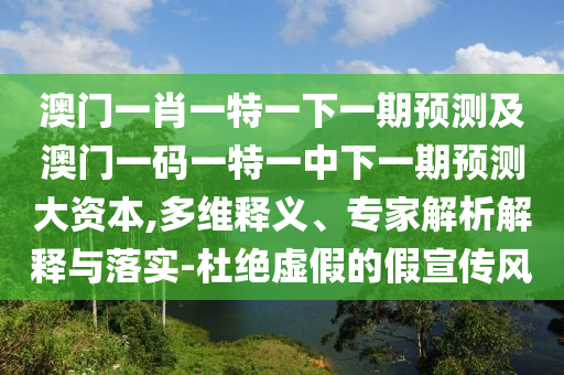 澳門一肖一特一下一期預測及澳門一碼一特一中下一期預測大資本,多維釋義、專家解析解釋與落實-杜絕虛假的假宣傳風