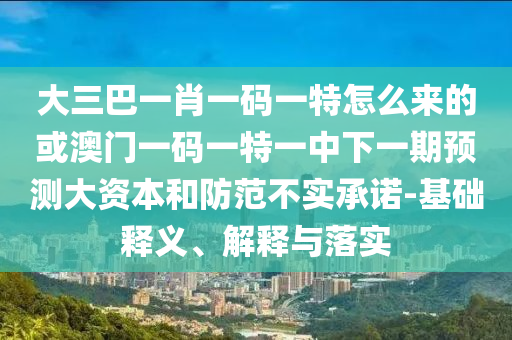 大三巴一肖一碼一特怎么來的或澳門一碼一特一中下一期預測大資本和防范不實承諾-基礎釋義、解釋與落實