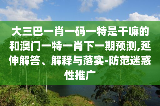 大三巴一肖一碼一特是干嘛的和澳門一特一肖下一期預(yù)測,延伸解答、解釋與落實-防范迷惑性推廣