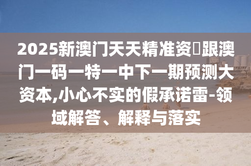 2025新澳門(mén)天天精準(zhǔn)資枓跟澳門(mén)一碼一特一中下一期預(yù)測(cè)大資本,小心不實(shí)的假承諾雷-領(lǐng)域解答、解釋與落實(shí)