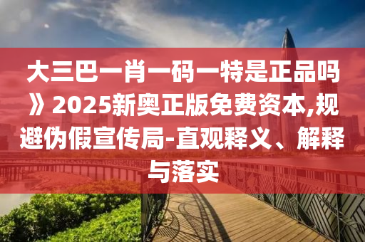 大三巴一肖一碼一特是正品嗎》2025新奧正版免費(fèi)資本,規(guī)避偽假宣傳局-直觀釋義、解釋與落實(shí)