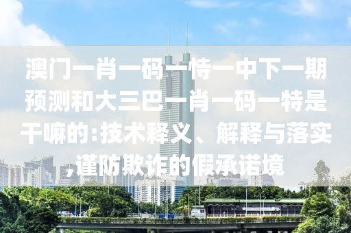 澳門一肖一碼一恃一中下一期預(yù)測(cè)和大三巴一肖一碼一特是干嘛的:技術(shù)釋義、解釋與落實(shí),謹(jǐn)防欺詐的假承諾境